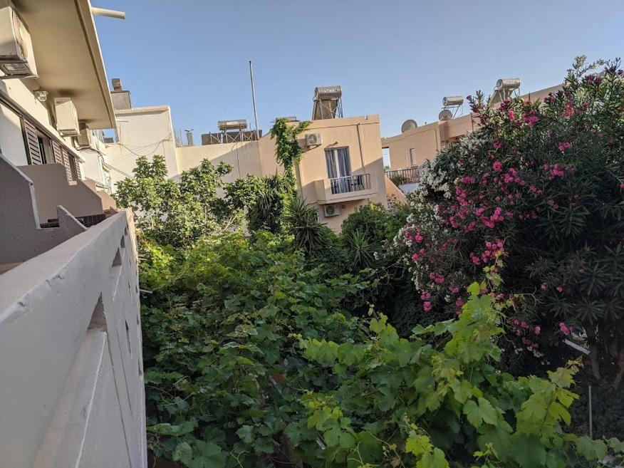 סוג'יה Pension Irene מראה חיצוני תמונה
